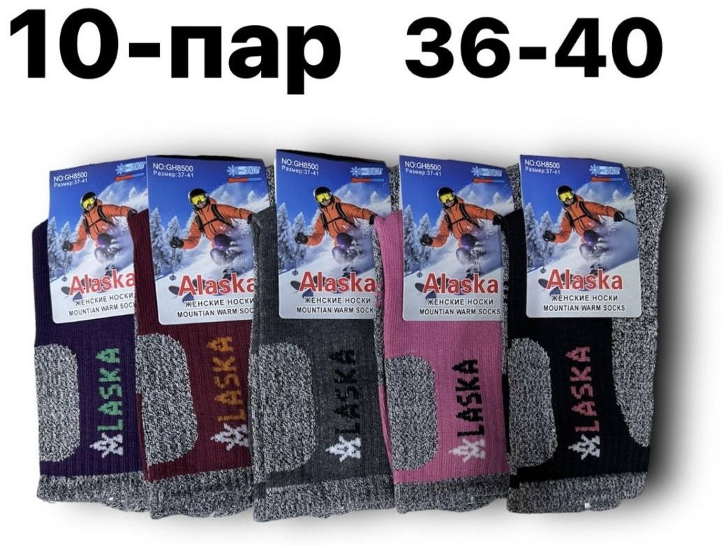 Носки Alaska 10 пар мультиколор 36-40