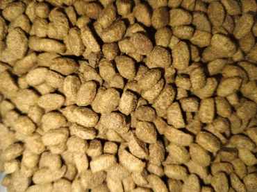 CATLAND Sterilised для стерилизованных кролик, овощи 1 кг