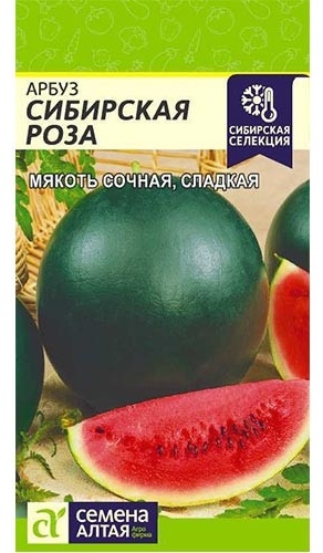 Семена Алтая арбуз Сибирская роза