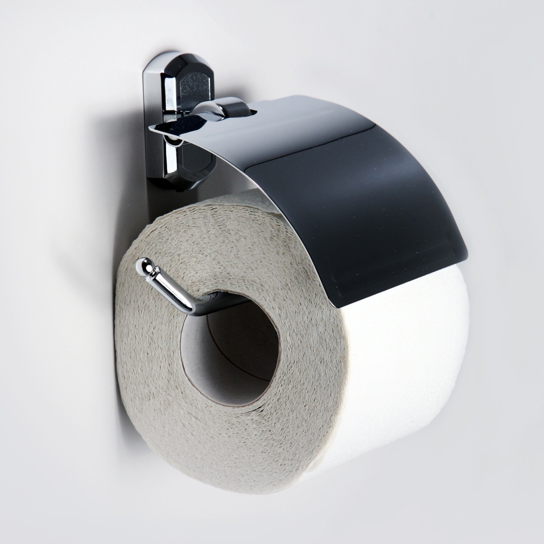 WasserKRAFT держатель Oder K-3025 1 шт, металл