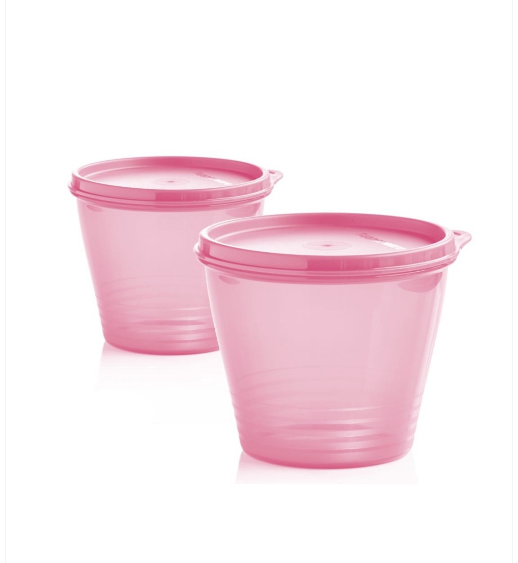 Купить Tupperware контейнер Рп038 2 шт, пластик в кредит в Алматы ...