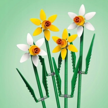 Фото 3
