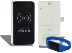 Электронный 890152454