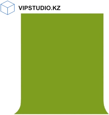 VIPSTUDIO.KZ TF4X2.3FIS зеленый
