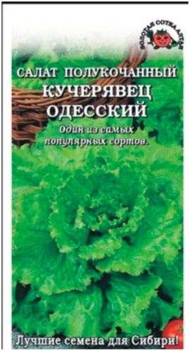 Золотая сотка Алтая салат полкучанный кучерявец одесский