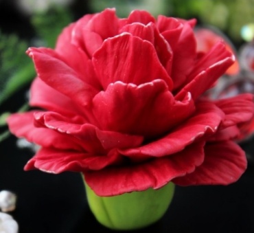 Фото 3