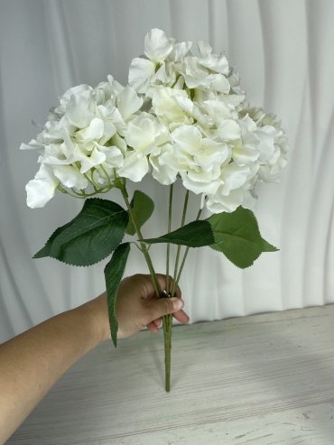 Фото 3