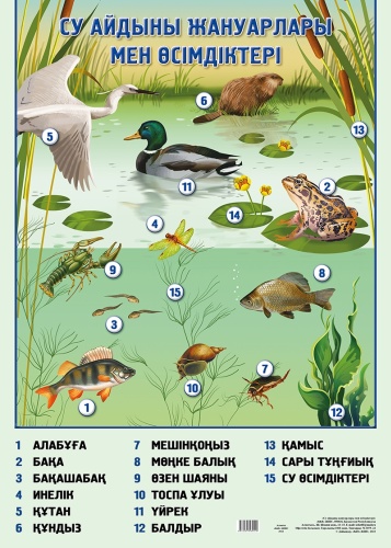 Плакат Су айдыны жануарлары мен өсімдіктері, A2, бумага
