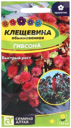 Семена Алтая клещевина Гипсона