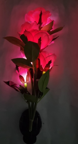 Фото 3