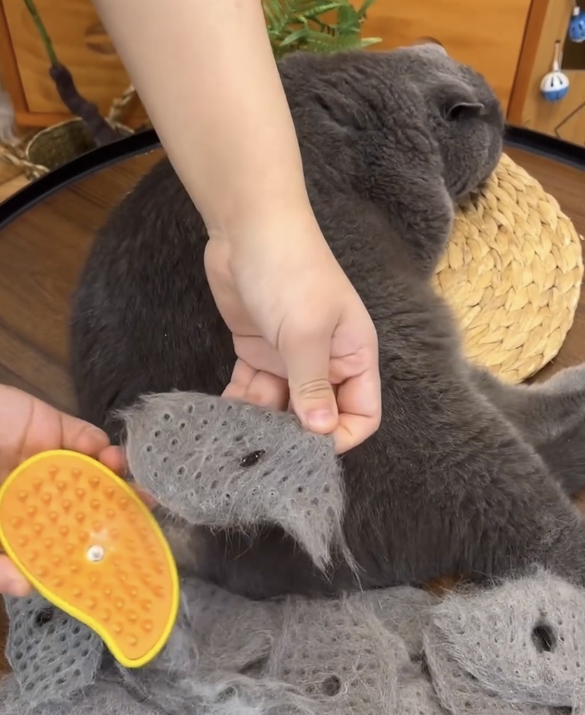 Фото 4