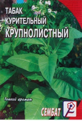 Сембат табак душистый Крупнолистый