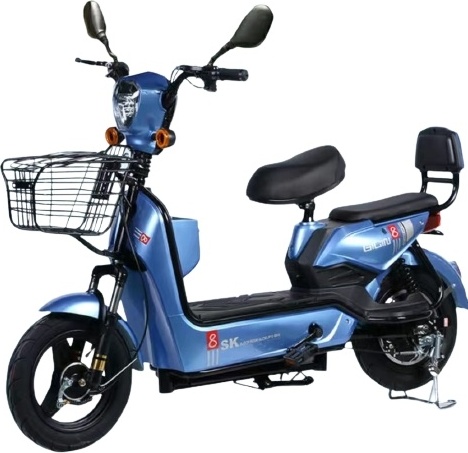 Купить Электровелосипед SK8 SK-8 10 дюйм 2022 21 дюйм синий в Алматы ...