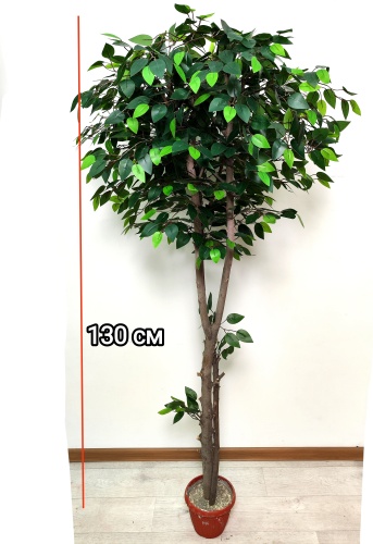 Green de Lux фикус Бенджамина 130 см, 358376