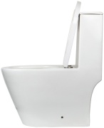 ASUA Armatur унитаз-моноблок 12655000, санфаянс