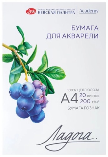 Бумага Ладога 99294 A4 20 листов