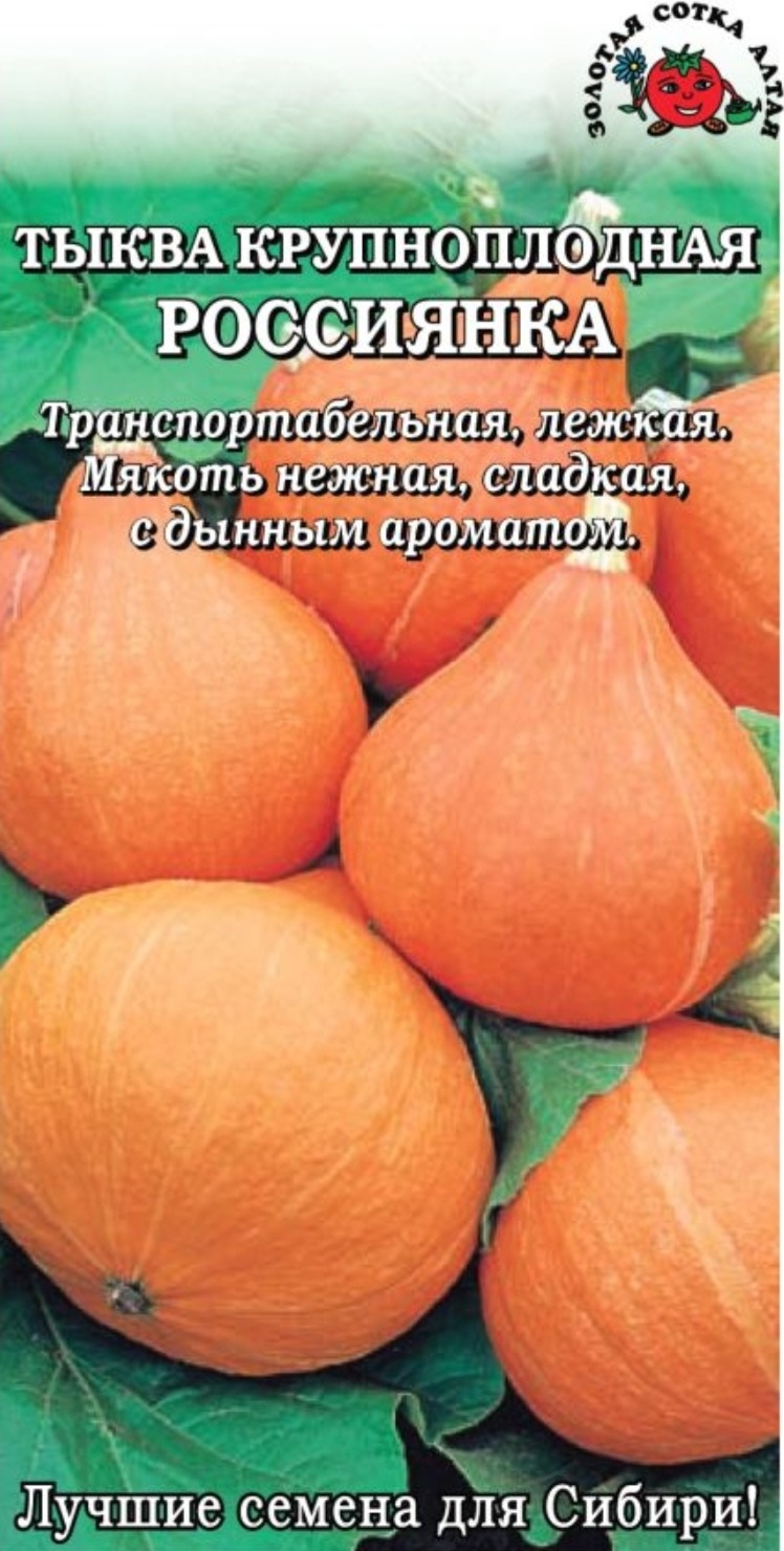 Золотая сотка Алтая тыква Россиянка
