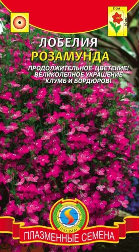 Плазменные Семена Лобелия Розамунда