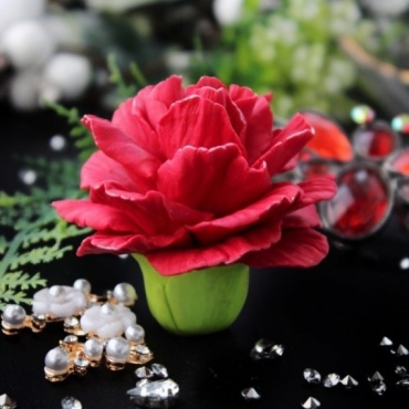 Фото 4