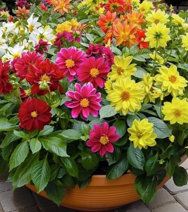 Фото 3