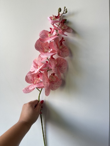 Фото 6