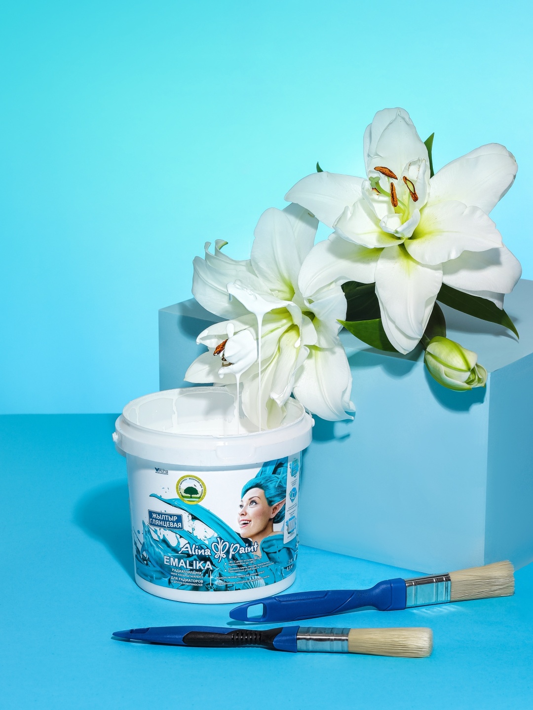 Alina Paint эмаль глянцевая Emalika 3 кг, тон белый