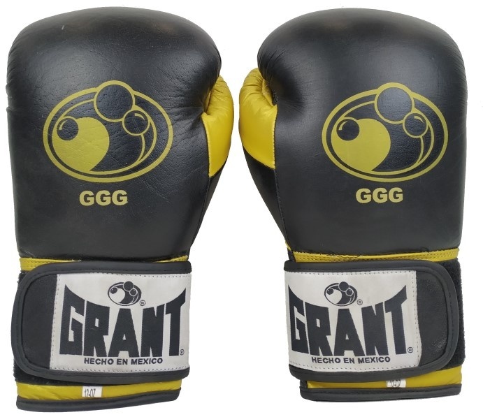 Купить Боксерские перчатки GRANT Pro GSBGLV 12 oz черный в кредит в ...