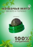 Кошачья мята 30 г 1 шт