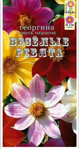 Георгина ВЕСЁЛЫЕ РЕБЯТА
