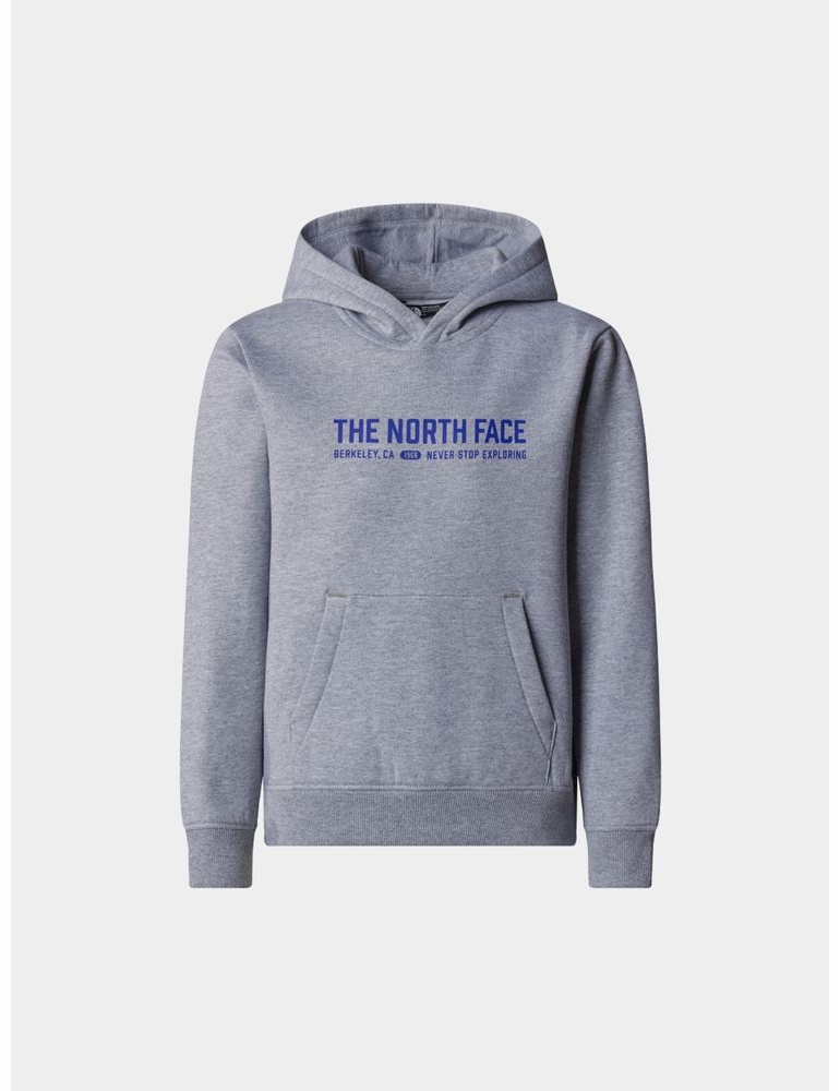 Худи The North Face серый