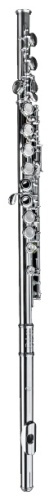 Флейта студенческая Di Zhao Flutes DZ301CEF Silver серебристый