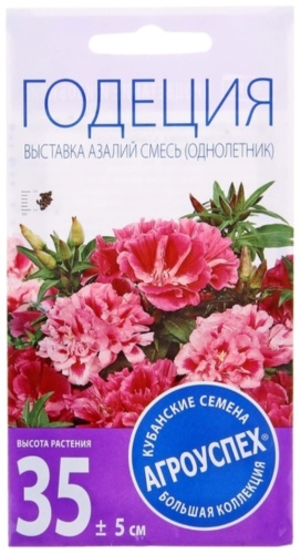Агроуспех годеция Выставка азалий