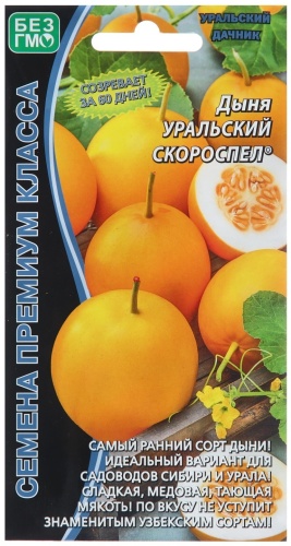 Уральский дачник дыня Уральский Скороспел