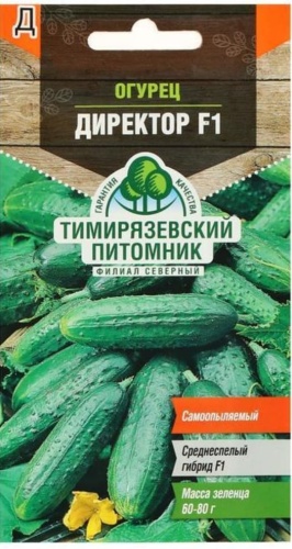Огурец Директор