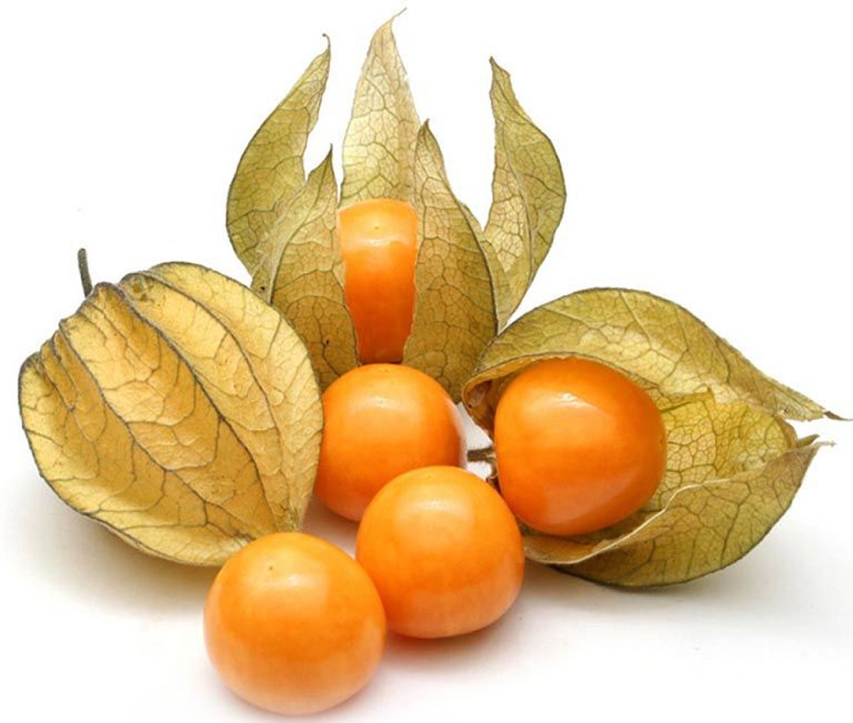 Mangosteen.kz физалис Перу 100 г