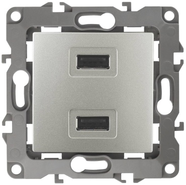 Розетка USB Эра 12-4110-15, серебристый