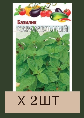 Гавриш базилик Карамельный