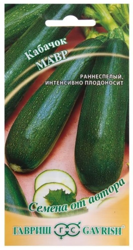 Гавриш кабачок Мавр