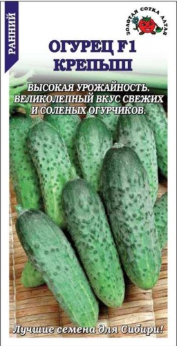 Огурец Крепыш