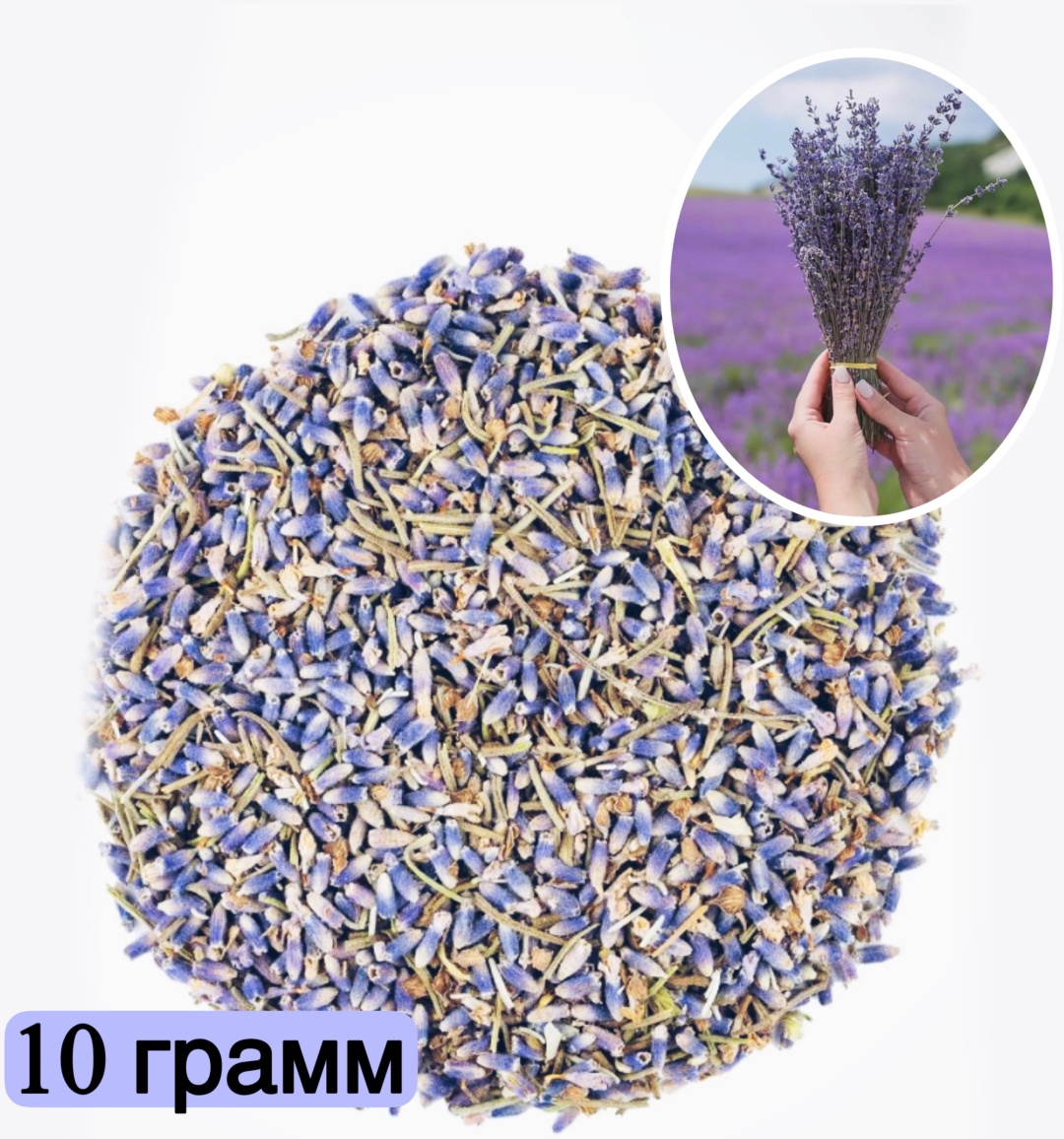 Лаванда Крымская сухоцвет 15049000_808103 10г