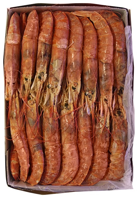 Fishdream, Лангустины с головой, 2 кг.