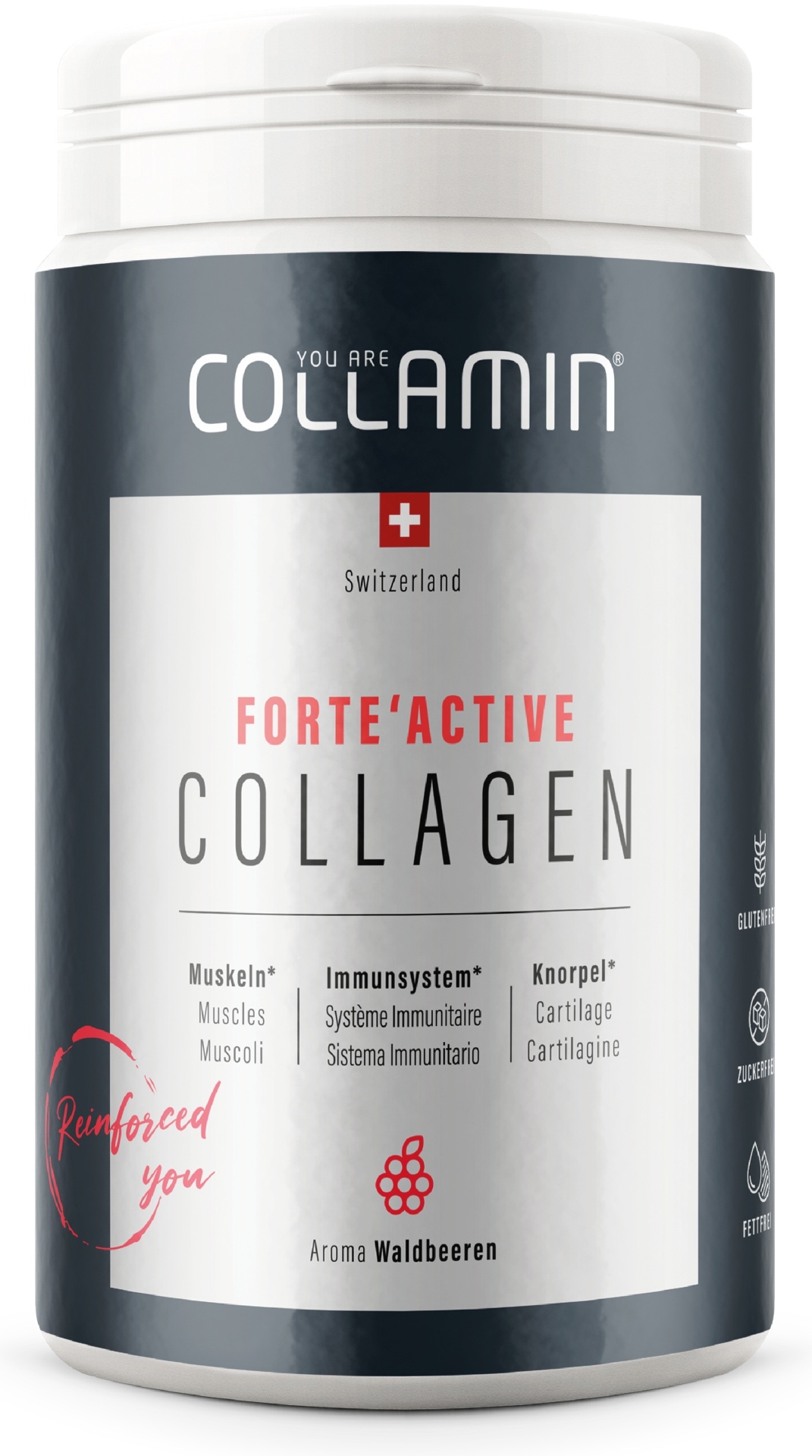 Купить Коллаген COLLAMIN ForteActive порошок 450 г в кредит в Астане ...