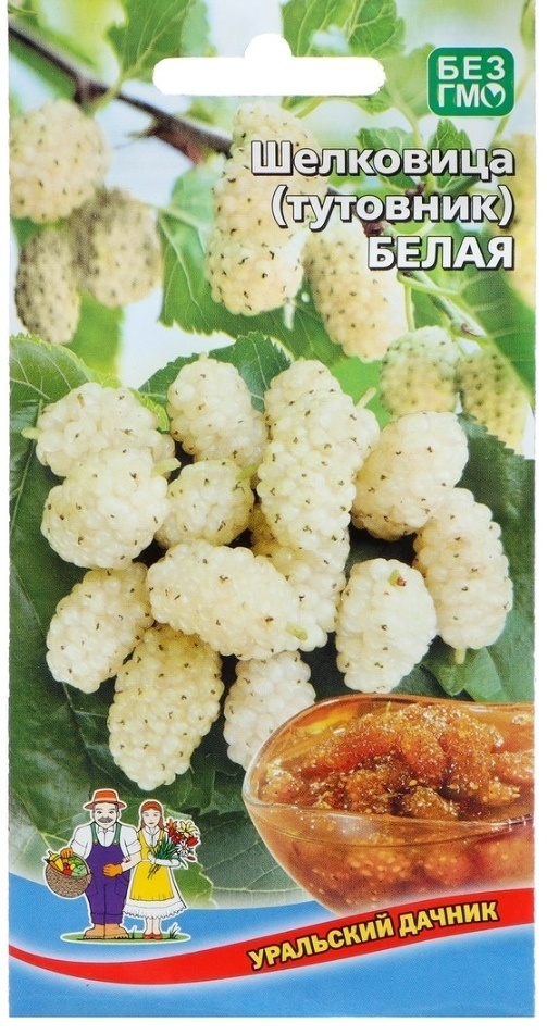 Уральский дачник шелковица Тутовник белый