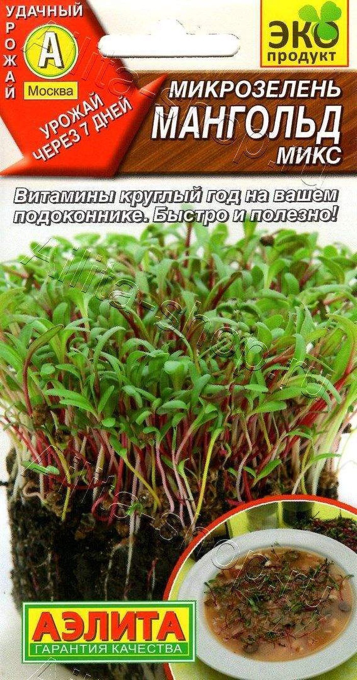 Аэлита Микрозелень Мангольд микс