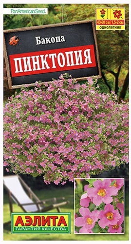 Аэлита Бакопа Пинктопия