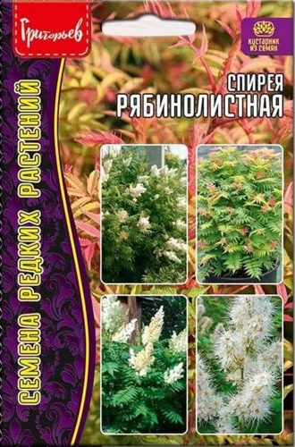 Фото 3