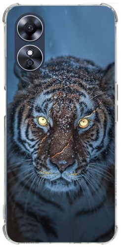 Чехол Qeeca для OPPO A17 рисунок