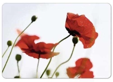 DAYE разделочная доска Classic Corn poppies 509421 1 шт, пластик