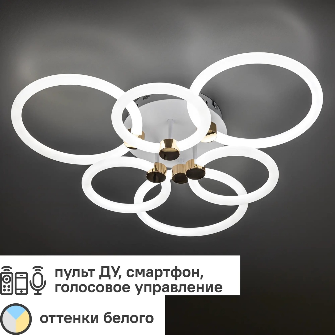 Люстра потолочная Ritter LED, кол-во ламп: 6 шт