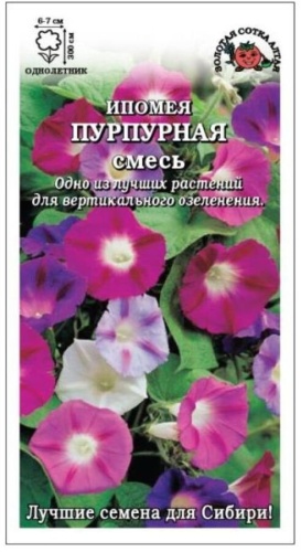 Золотая сотка Алтая ипомея Пурпурная смесь